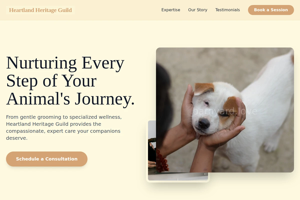 Saddle Animal Care