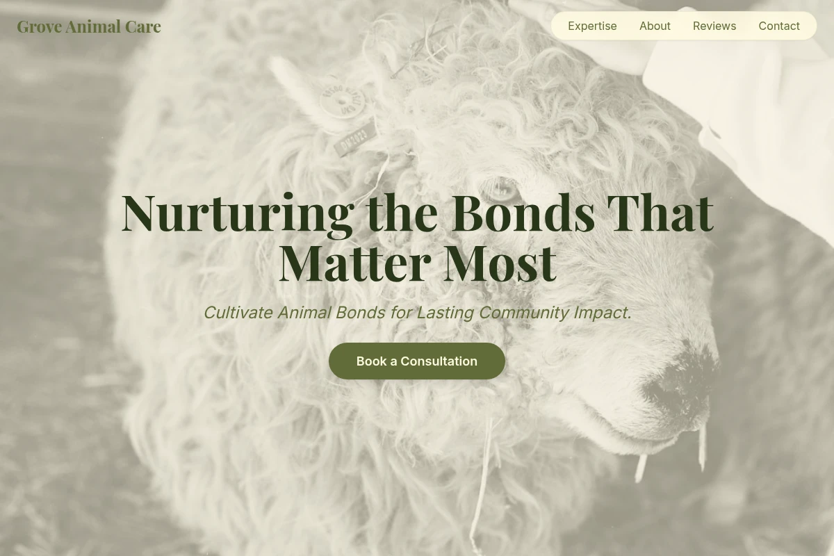Latest Animal Care Website Design