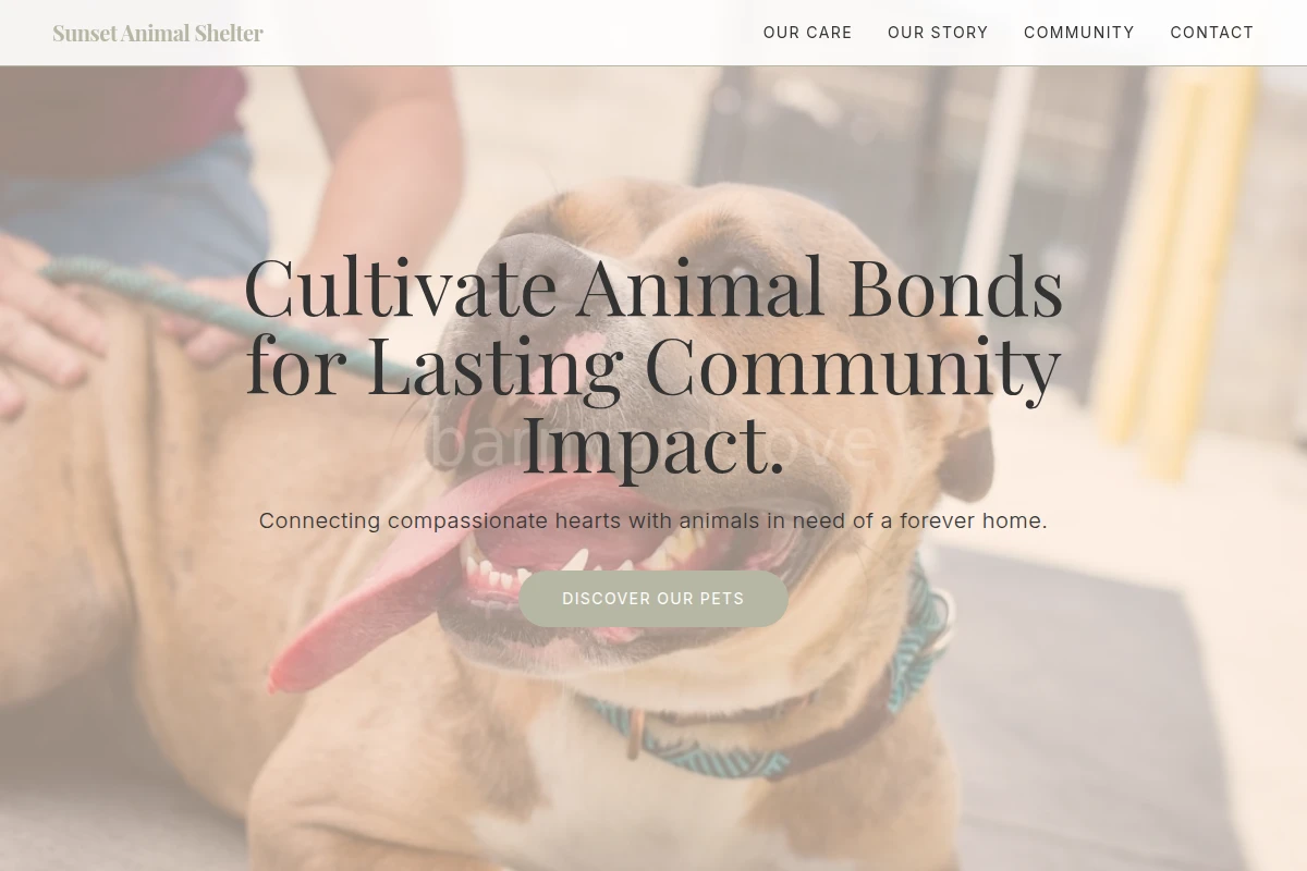 Sunset Animal Shelter