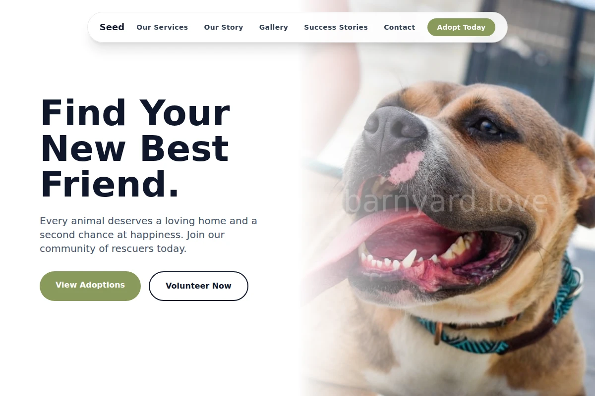 Seed Animal Shelter
